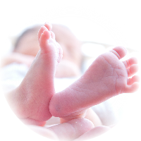 ニューボーンフォトギャラリー